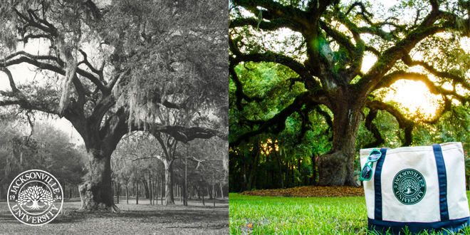 1971 TBT vs. 2013 version of tree in roundabout